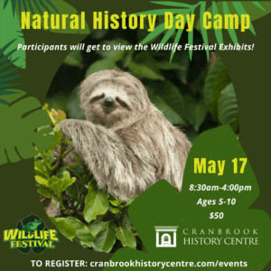 Day Camp: May 17