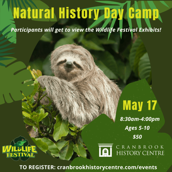 Day Camp: May 17